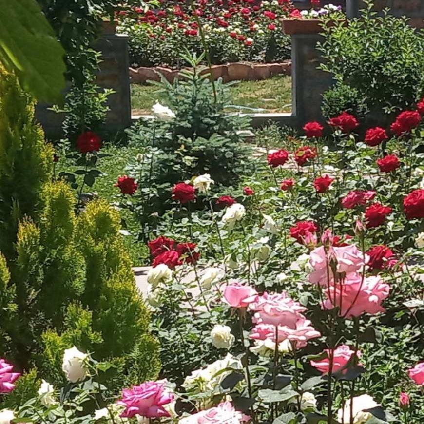 Guest House Hasmik Yeghegnadzor Dış mekan fotoğraf